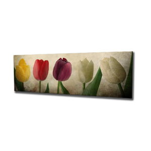 Nástenný obraz na plátne Tulip, 80 × 30 cm