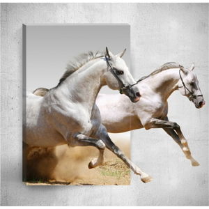 Nástenný 3D obraz Mosticx Horses, 40 × 60 cm