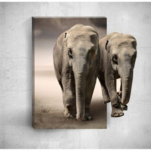 Nástenný 3D obraz Mosticx Two Elephants, 40 × 60 cm