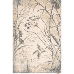 Krémovobiely vlnený koberec 160x240 cm Botany – Agnella