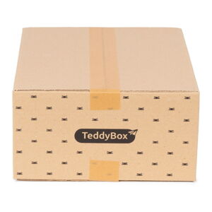 Sada 3 béžových úložných boxov Compactor Teddy, 35 x 15 cm