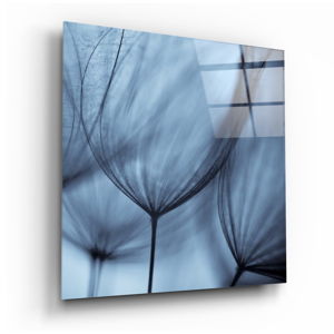 Sklenený obraz Insigne Dandelion Serenity, 40 x 40 cm