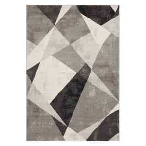 Sivý koberec 200x290 cm Nova – Asiatic Carpets