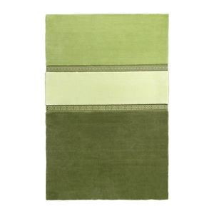 Zelený koberec EMKO Lietuva, 170 × 260 cm
