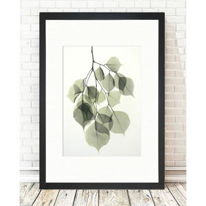 Obraz Tablo Center Tender Leaves, 24 × 29 cm