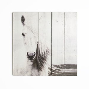 Drevený obraz Graham & Brown Horse, 50 × 50 cm