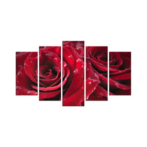 Viacdielny obraz Red Rose, 110 × 60 cm