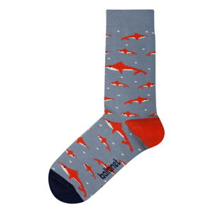 Ponožky Ballonet Socks Shark, veľkosť 36 - 40