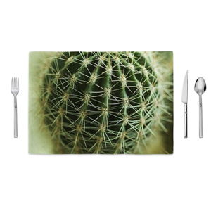 Prestieranie Home de Bleu Cactus Zoom, 35 x 49 cm