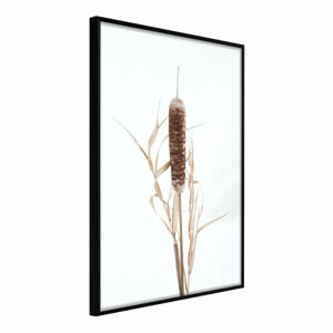 Plagát v ráme Artgeist Typha, 30 x 45 cm