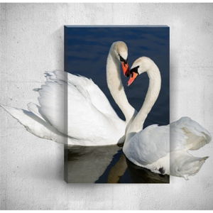Nástenný 3D obraz Mosticx Swans, 40 × 60 cm