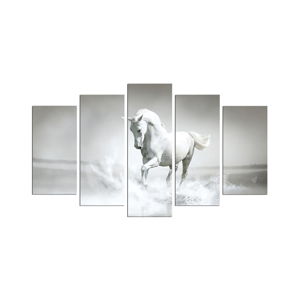 Viacdielny obraz White Horse, 110 × 60 cm