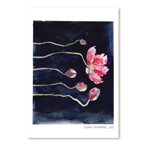 Plagát Blooms on Black III, 30 × 42 cm