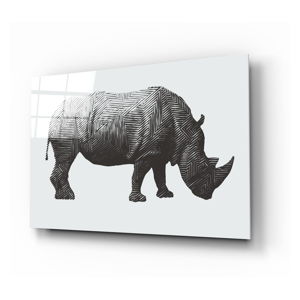 Sklenený obraz Insigne Rhino Rhino, 72 x 46 cm