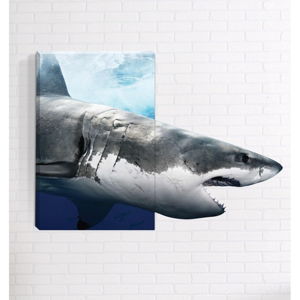 Nástenný 3D obraz Mosticx Žralok, 40 x 60 cm
