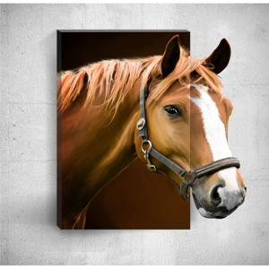 Nástenný 3D obraz Mosticx Horse, 40 × 60 cm
