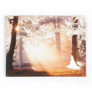 Obraz Graham & Brown Metallic Forest, 80 × 60 cm