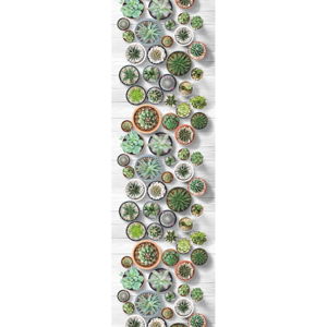 Behúň Floorita Cactus, 58 × 80 cm