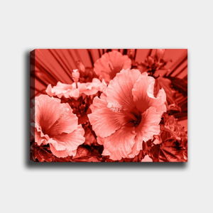 Nástenný obraz na plátne Tablo Center Poppies, 40 × 60 cm