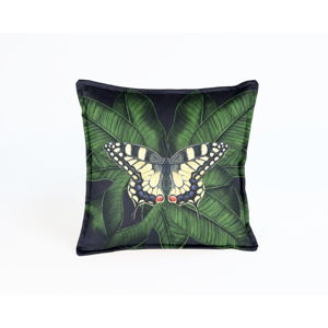 Dekoratívna obliečka na vankúš Velvet Atelier Butterfly, 45 × 45 cm