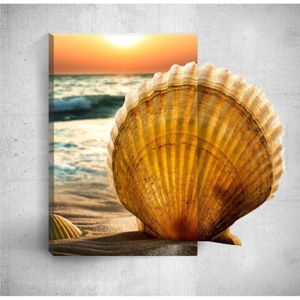 Nástenný 3D obraz Mosticx Seashell, 40 × 60 cm
