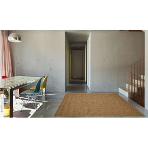 Hnedý vonkajší koberec Floorita Plain, 200 × 285 cm