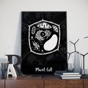 Čierny plagát Follygraph Plant Cell, 30 x 40 cm