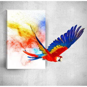 Nástenný 3D obraz Mosticx Colourful Parrot, 40 × 60 cm