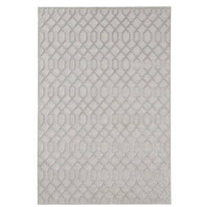 Sivý koberec Mint Rugs Caine, 160 × 230 cm