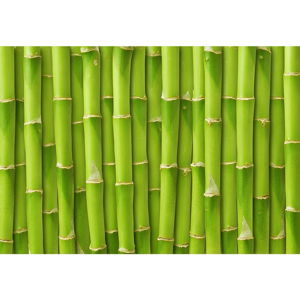 Vinylový koberec Bamboo, 52 × 75 cm