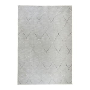 Sivý koberec 60x110 cm Jaipur – Webtappeti