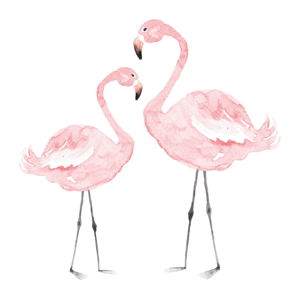 Nástenná samolepka Dekornik Flamingos, 55 × 55 cm